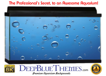 Buy Aquarium Background Water Air Aquarium Background