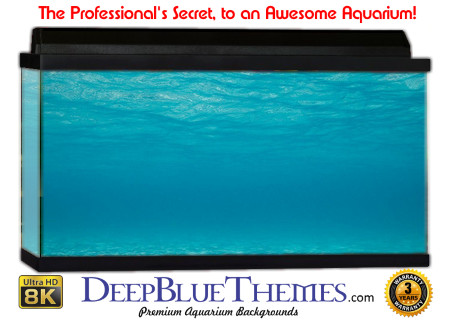 Buy Aquarium Background Water Beach Aquarium Background