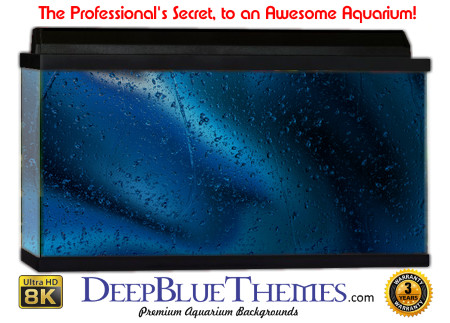 Buy Aquarium Background Water Blackblue Aquarium Background