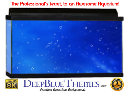Buy Aquarium Background Water Blueb Aquarium Background