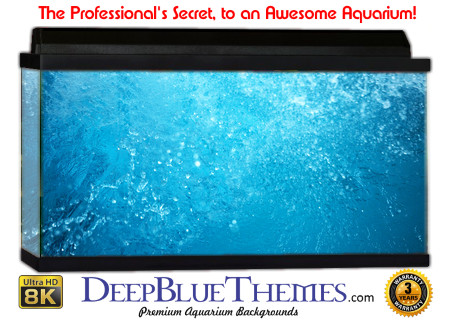 Buy Aquarium Background Water Bub Aquarium Background