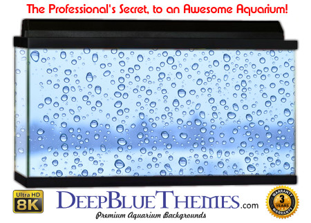 Buy Aquarium Background Water Bubbles Aquarium Background