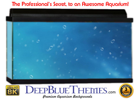 Buy Aquarium Background Water Cbubbles Aquarium Background
