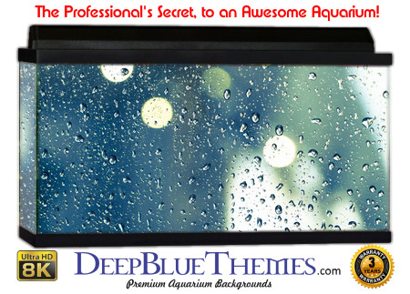 Buy Aquarium Background Water Glare Aquarium Background