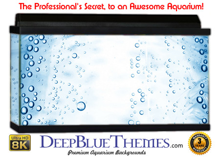 Buy Aquarium Background Water Glass Aquarium Background