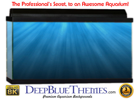 Buy Aquarium Background Water Glimmer Aquarium Background