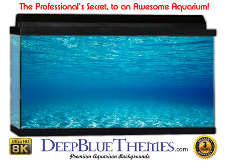 Buy Aquarium Background Water Open Aquarium Background