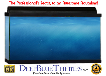 Buy Aquarium Background Water Perfect Aquarium Background