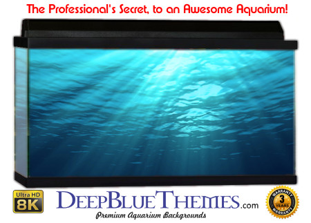 Buy Aquarium Background Water Ray Aquarium Background
