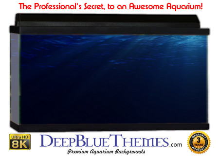 Buy Aquarium Background Water Rays Aquarium Background
