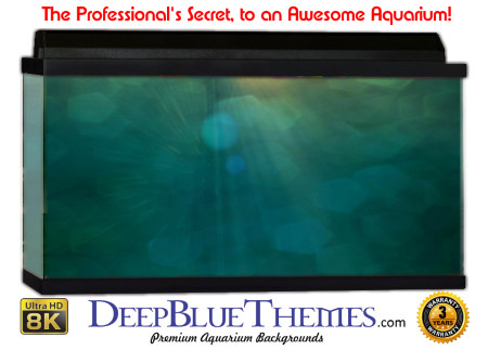 Buy Aquarium Background Water Reflect Aquarium Background