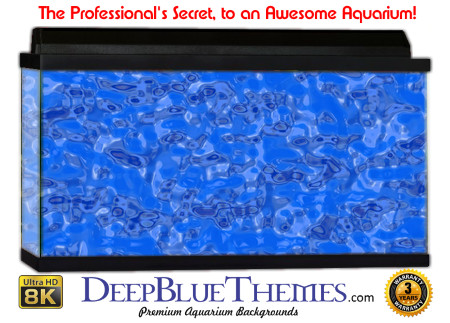 Buy Aquarium Background Water Render Aquarium Background