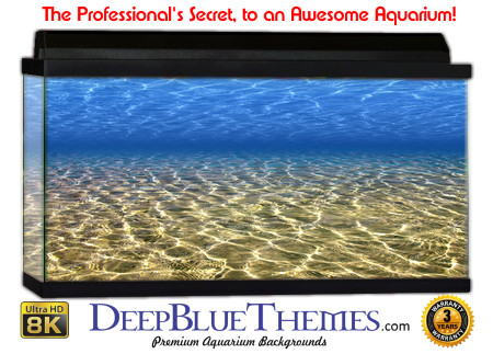 Buy Aquarium Background Water Sandy Aquarium Background