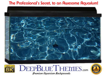 Buy Aquarium Background Water Shadow Aquarium Background