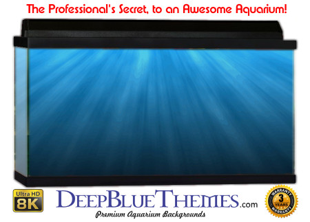 Buy Aquarium Background Water Shine Aquarium Background