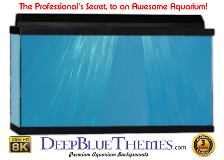 Buy Aquarium Background Water Slight Aquarium Background