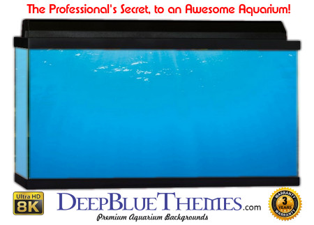 Buy Aquarium Background Water Sparkle Aquarium Background