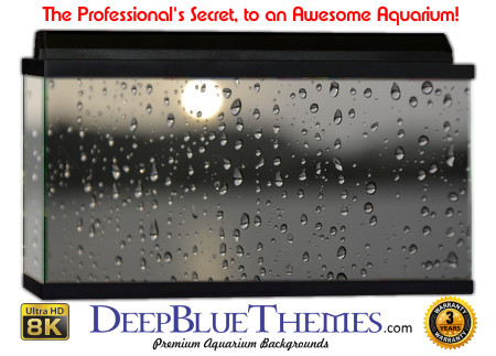 Buy Aquarium Background Water Sun Aquarium Background