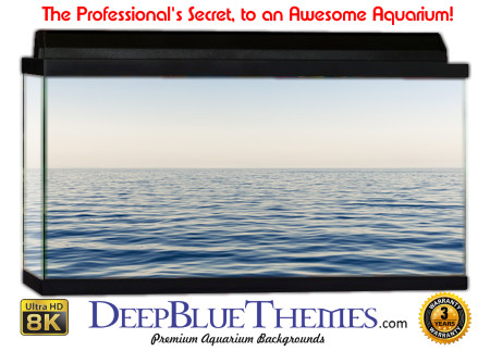 Buy Aquarium Background Water Tranquil Aquarium Background