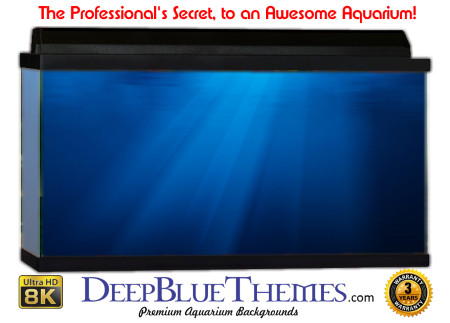 Buy Aquarium Background Water Under Aquarium Background