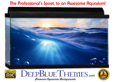 Buy Aquarium Background Water Wake Aquarium Background