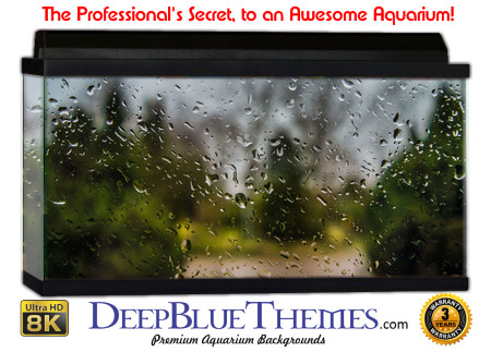 Buy Aquarium Background Water Window Aquarium Background