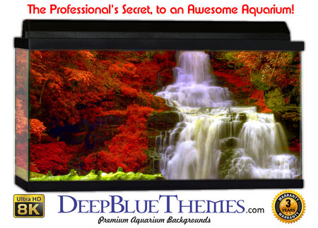 Buy Aquarium Background Waterfall Fall Aquarium Background