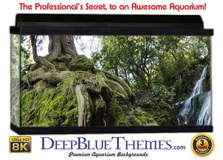 Buy Aquarium Background Waterfall Falls Aquarium Background