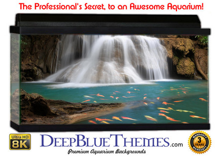 Buy Aquarium Background Waterfall Group Aquarium Background