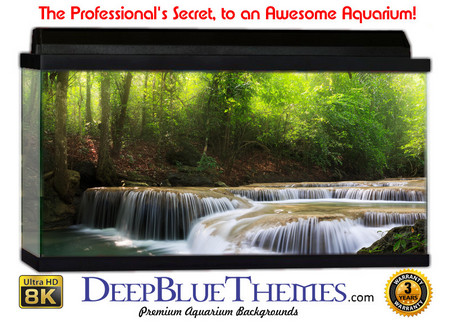 Buy Aquarium Background Waterfall Mist Aquarium Background
