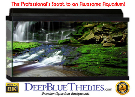 Buy Aquarium Background Waterfall Pool Aquarium Background