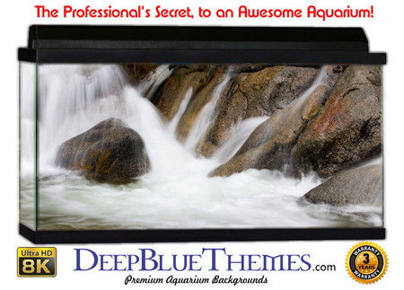 Buy Aquarium Background Waterfall Rocky Aquarium Background