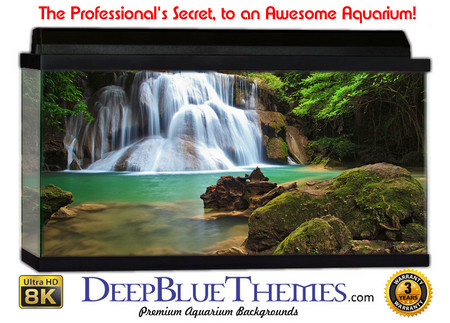 Buy Aquarium Background Waterfall Root Aquarium Background