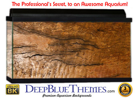 Buy Aquarium Background Wood Beautiful Aquarium Background