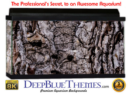 Buy Aquarium Background Wood Holes Aquarium Background