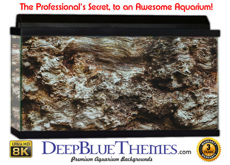 Buy Aquarium Background Wood Knot Aquarium Background