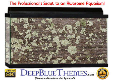Buy Aquarium Background Wood Moss Aquarium Background