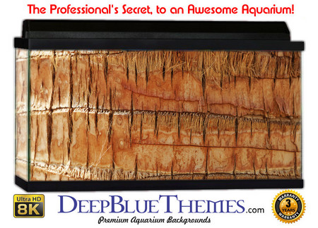 Buy Aquarium Background Wood Palm Aquarium Background
