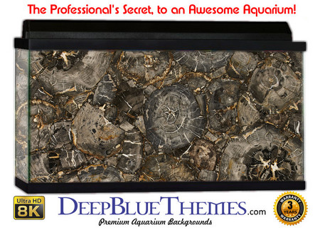 Buy Aquarium Background Wood Petrified Aquarium Background