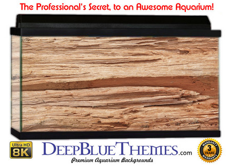 Buy Aquarium Background Wood Scrape Aquarium Background