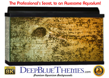 Buy Aquarium Background Wood Vintage Aquarium Background