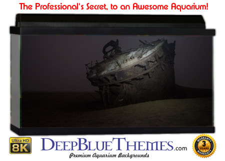 Buy Aquarium Background Wreck Alone Aquarium Background