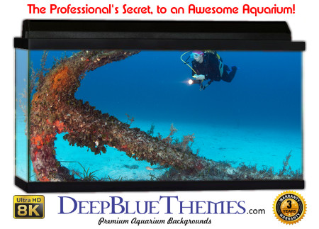 Buy Aquarium Background Wreck Anchor Aquarium Background