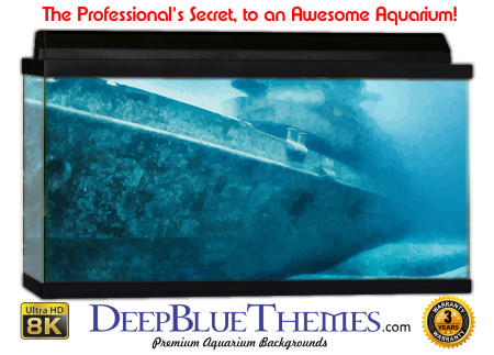 Buy Aquarium Background Wreck Art Bulk Aquarium Background