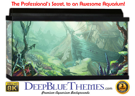 Buy Aquarium Background Wreck Art Colors Aquarium Background