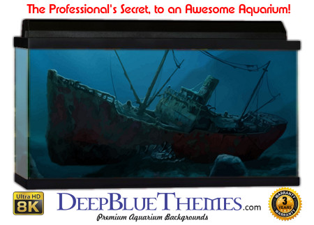Buy Aquarium Background Wreck Art Edge Aquarium Background