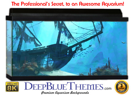 Buy Aquarium Background Wreck Art Home Aquarium Background