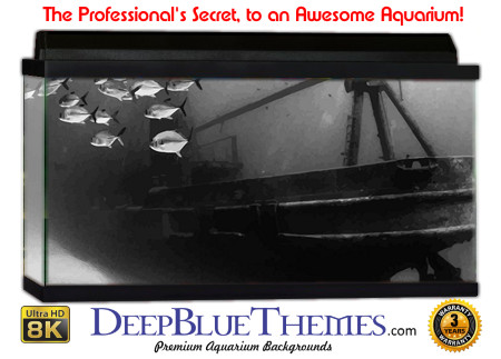 Buy Aquarium Background Wreck Art Photograph Aquarium Background