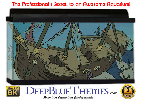 Buy Aquarium Background Wreck Art Simple Aquarium Background