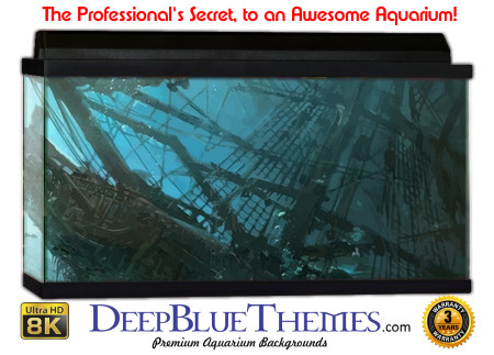 Buy Aquarium Background Wreck Art Vision Aquarium Background